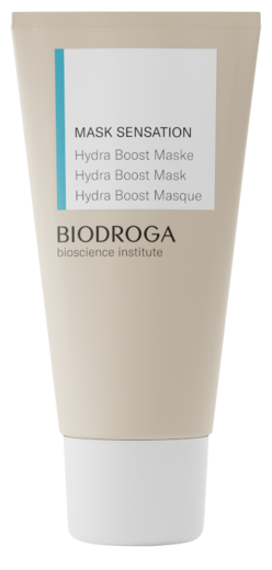 biodroga hydra boost mask