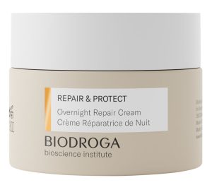 biodroga overnight repair cream